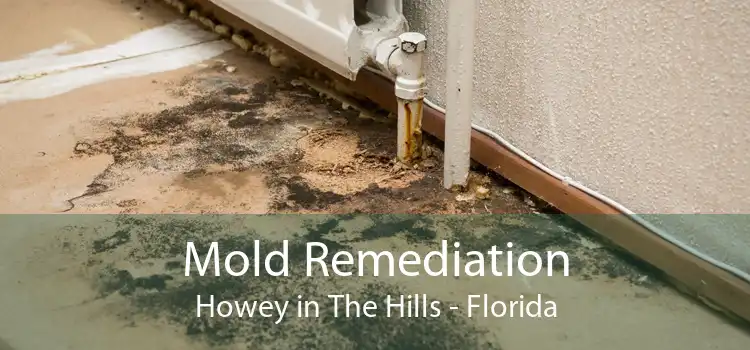 Mold Remediation Howey in The Hills - Florida