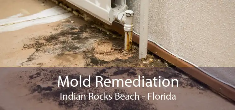Mold Remediation Indian Rocks Beach - Florida