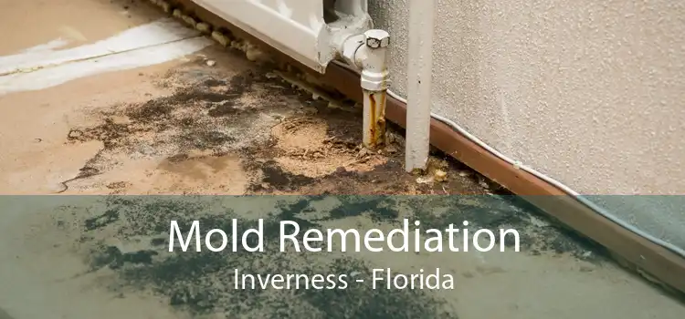 Mold Remediation Inverness - Florida