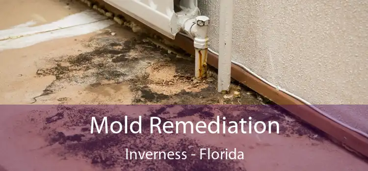 Mold Remediation Inverness - Florida