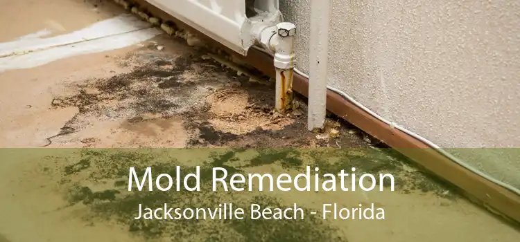 Mold Remediation Jacksonville Beach - Florida