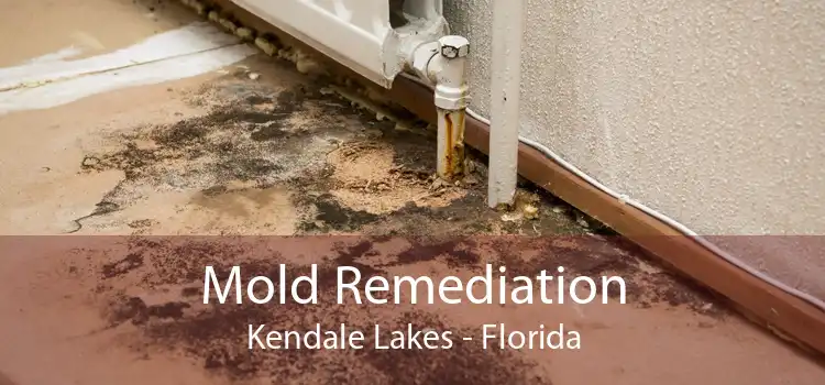 Mold Remediation Kendale Lakes - Florida