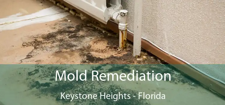 Mold Remediation Keystone Heights - Florida