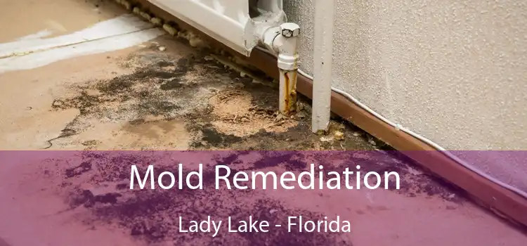 Mold Remediation Lady Lake - Florida