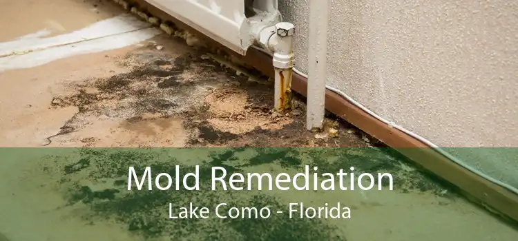 Mold Remediation Lake Como - Florida