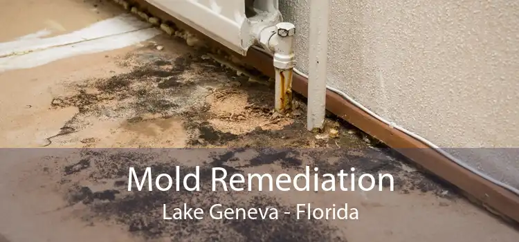 Mold Remediation Lake Geneva - Florida