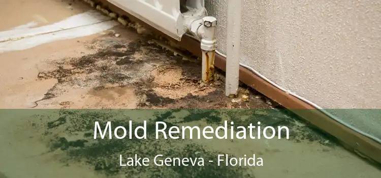 Mold Remediation Lake Geneva - Florida