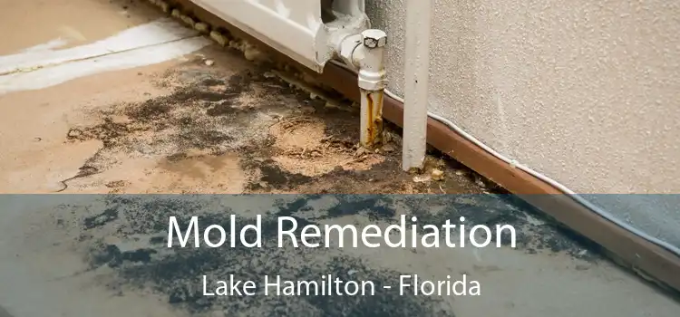 Mold Remediation Lake Hamilton - Florida