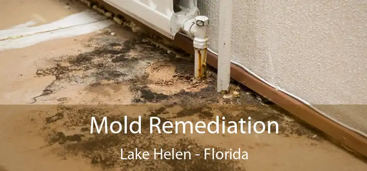 Mold Remediation Lake Helen - Florida