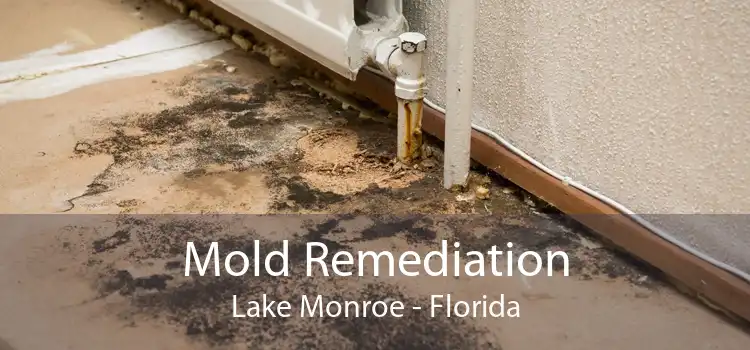 Mold Remediation Lake Monroe - Florida
