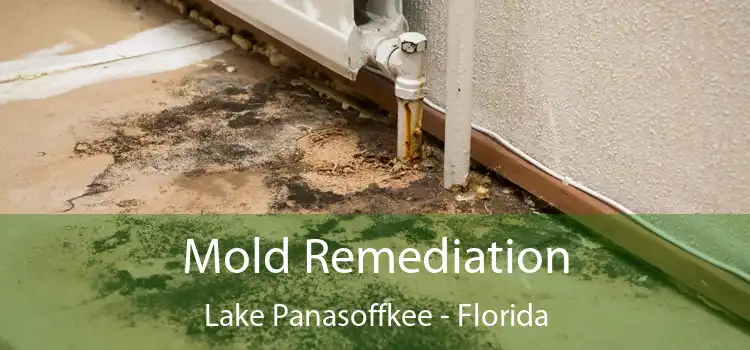 Mold Remediation Lake Panasoffkee - Florida