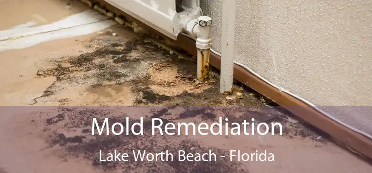 Mold Remediation Lake Worth Beach - Florida