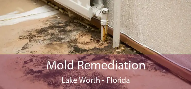 Mold Remediation Lake Worth - Florida