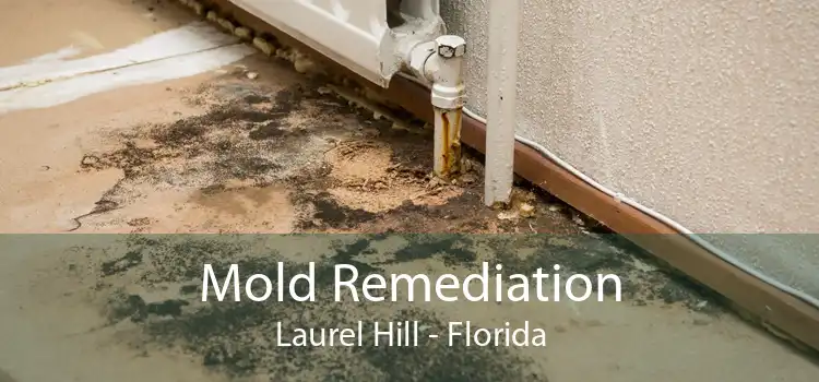 Mold Remediation Laurel Hill - Florida