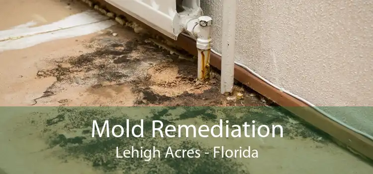 Mold Remediation Lehigh Acres - Florida