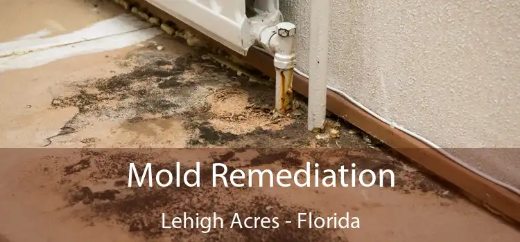 Mold Remediation Lehigh Acres - Florida