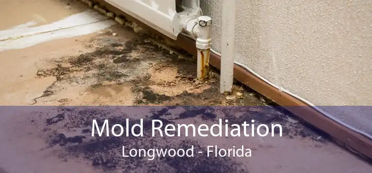 Mold Remediation Longwood - Florida