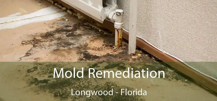 Mold Remediation Longwood - Florida