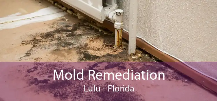 Mold Remediation Lulu - Florida