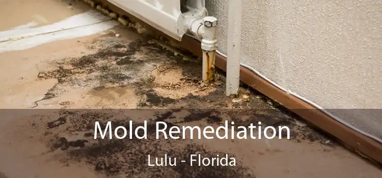 Mold Remediation Lulu - Florida