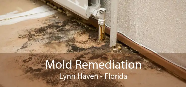 Mold Remediation Lynn Haven - Florida