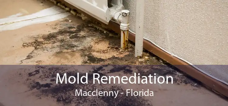 Mold Remediation Macclenny - Florida