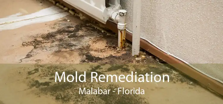 Mold Remediation Malabar - Florida