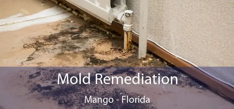 Mold Remediation Mango - Florida