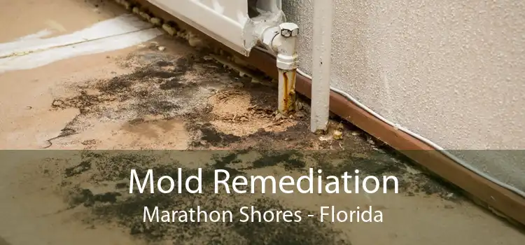 Mold Remediation Marathon Shores - Florida