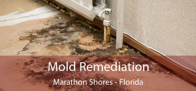 Mold Remediation Marathon Shores - Florida