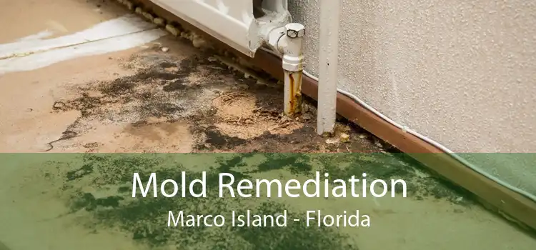 Mold Remediation Marco Island - Florida