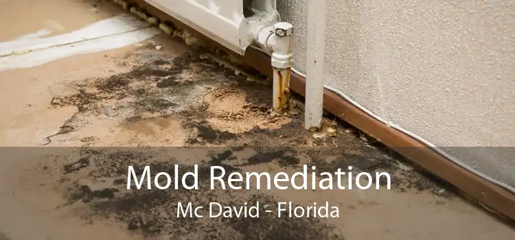Mold Remediation Mc David - Florida