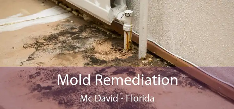 Mold Remediation Mc David - Florida