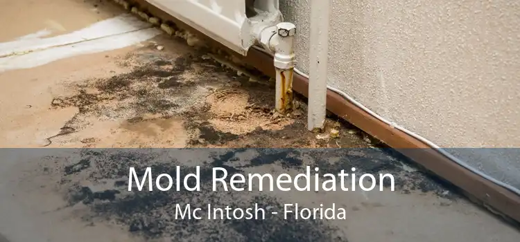 Mold Remediation Mc Intosh - Florida
