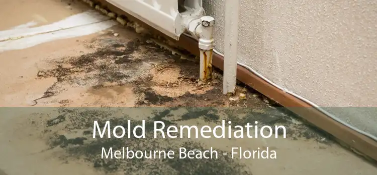Mold Remediation Melbourne Beach - Florida
