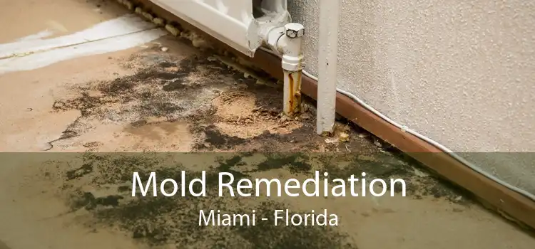 Mold Remediation Miami - Florida