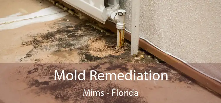 Mold Remediation Mims - Florida