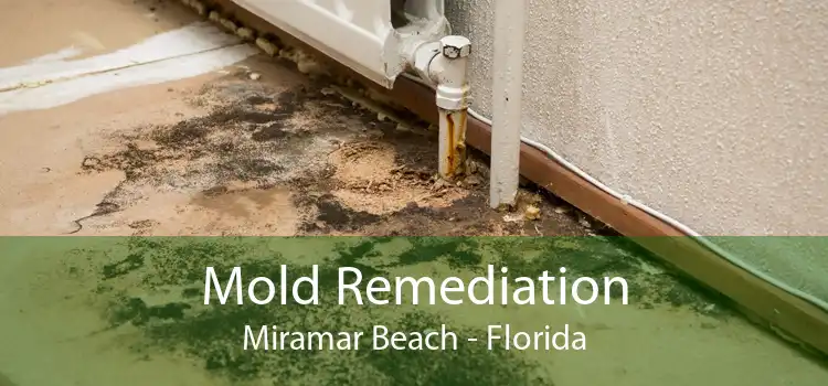 Mold Remediation Miramar Beach - Florida