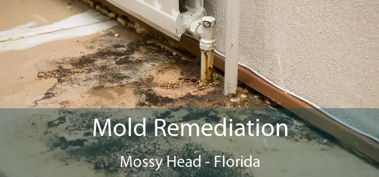 Mold Remediation Mossy Head - Florida