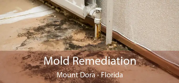 Mold Remediation Mount Dora - Florida