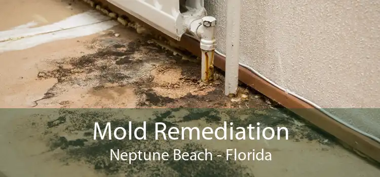 Mold Remediation Neptune Beach - Florida