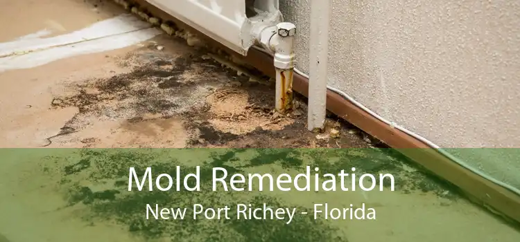 Mold Remediation New Port Richey - Florida