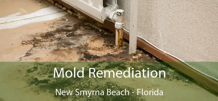 Mold Remediation New Smyrna Beach - Florida