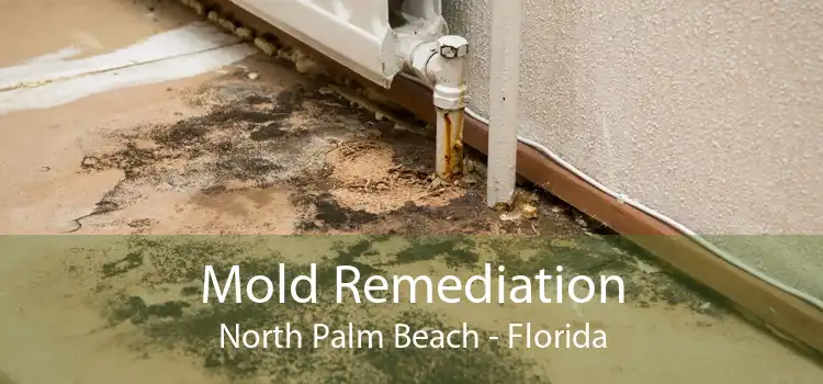 Mold Remediation North Palm Beach - Florida