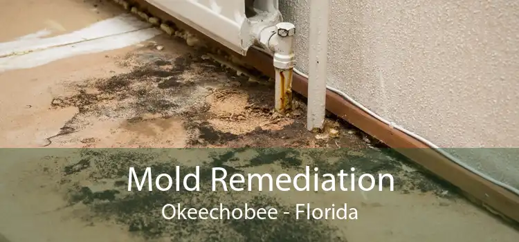Mold Remediation Okeechobee - Florida