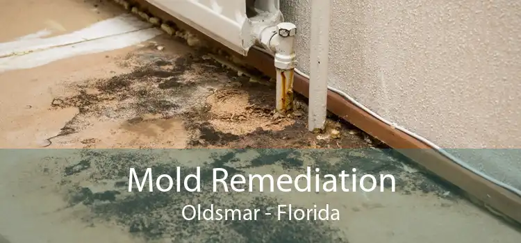 Mold Remediation Oldsmar - Florida