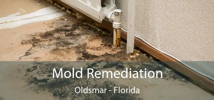 Mold Remediation Oldsmar - Florida