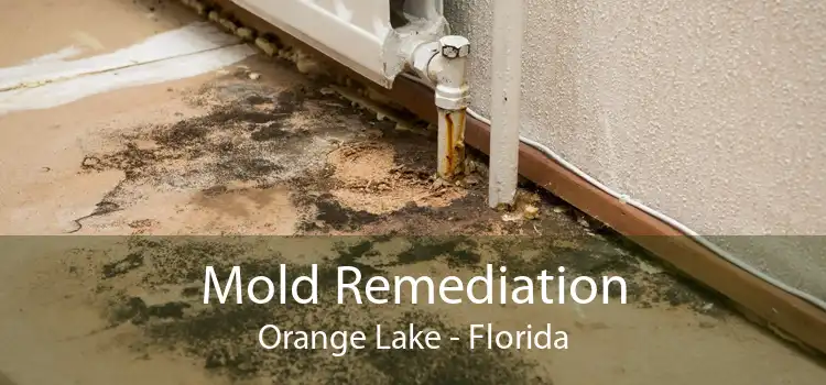 Mold Remediation Orange Lake - Florida