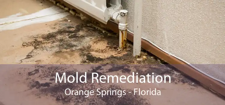 Mold Remediation Orange Springs - Florida