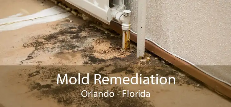 Mold Remediation Orlando - Florida